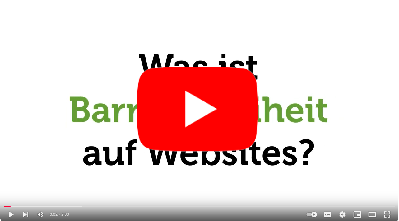 Screenshot Erkl&auml;rvideo Barrierefreiheit auf Websites